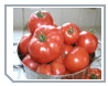Bulgarian vegetable and fruit agriculture