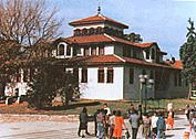 Vidin