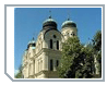 Vidin