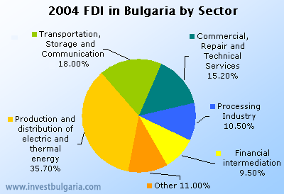 Foreign Direct Investment in Bulgaria 2004 - By Sector