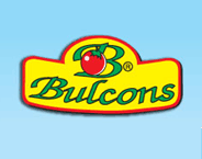 BULCONS PARVOMAY JSC