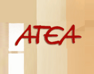 ATEA LTD