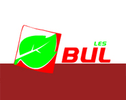 BULLES GROUP LTD 
