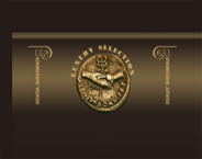 SELECTSTROI LTD.