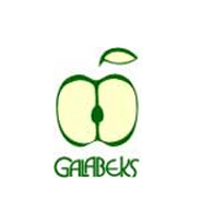 GALABEKS LTD