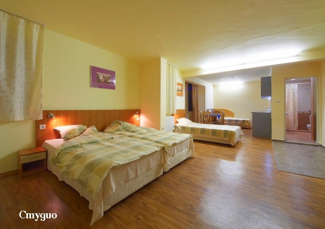 HOTEL BACHE TODOR