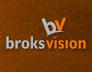 BROKS VISION JSC