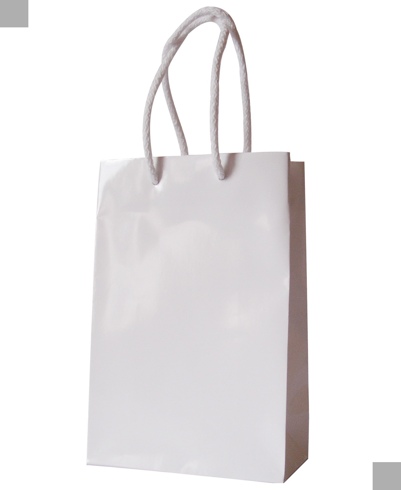 IN BAGS