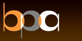 BIG PICTURE ADVERTISING AGENCY