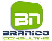 BRANICO CONSULTING