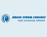 BRAIN STORM CONSULT 