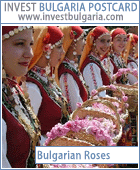 Bulgaria is one of the biggest producers of rose oil. Bulgarian roses are widely grown in our country, using cultivation methods that have preserved the characteristics of the flower unchanged for more than three centuries.
