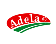 Adela Ltd.