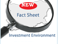 GENERAL INVESTMENT ENVIRONMENT (2010)